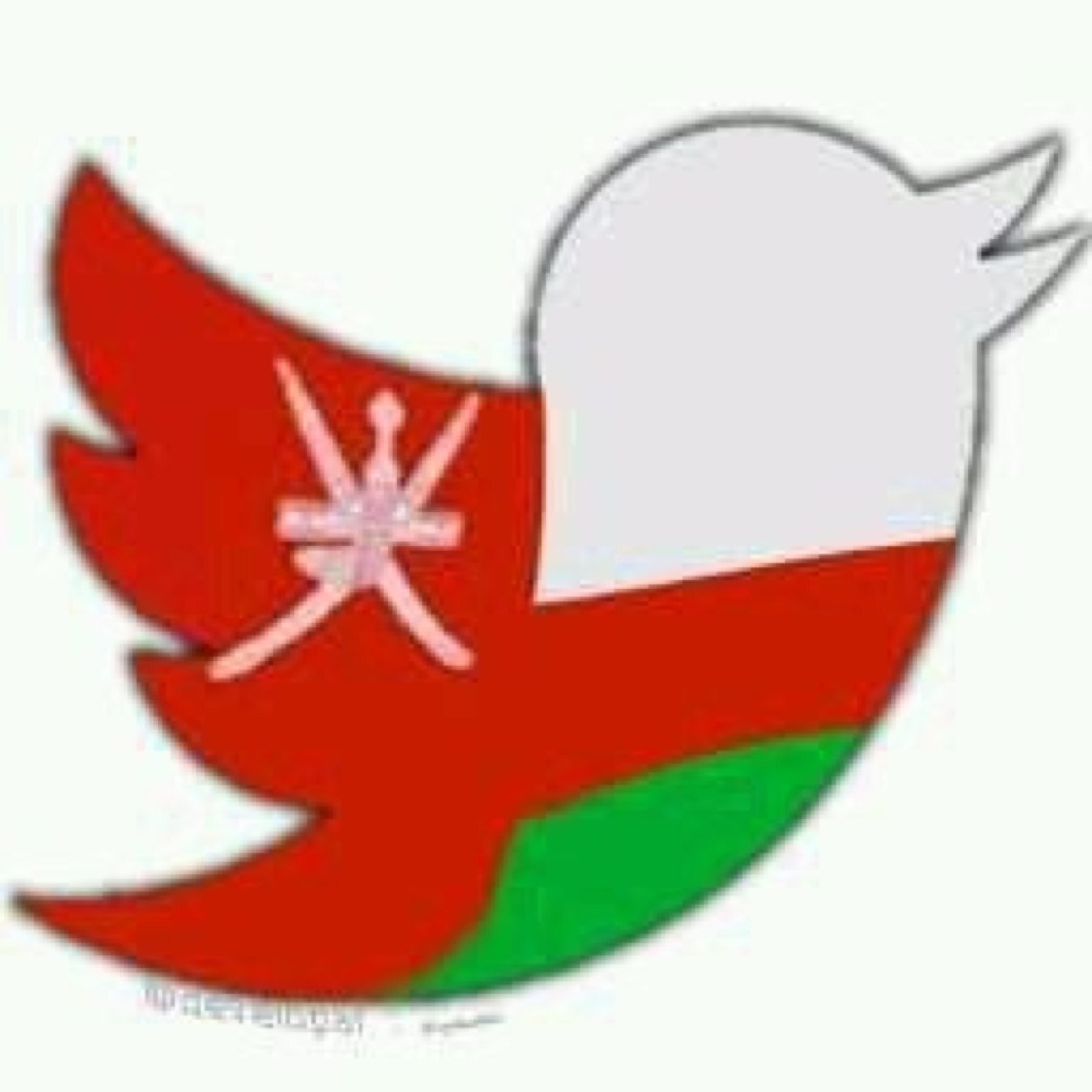 oman_v's profile picture. حساب يهتم في الحسابات النشطه والتغريدات المميزه اتمني #الدعم