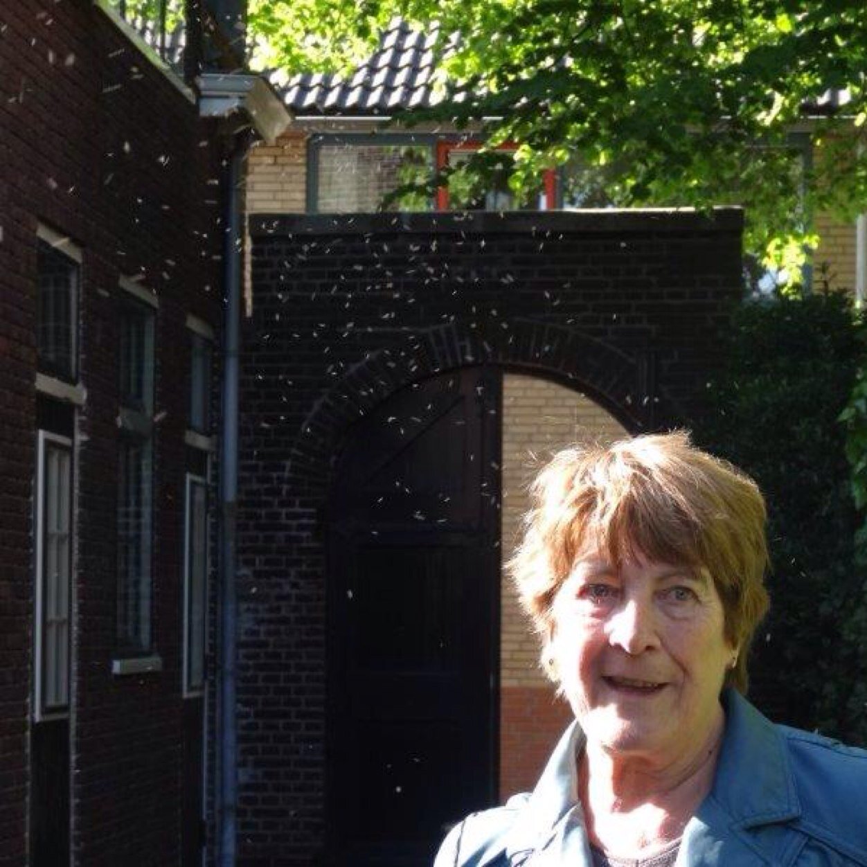 HalemMarianne's profile picture. 