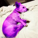 Sonya McCall - @sonyamccall - Twitter