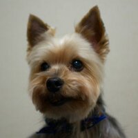 加野瀬未友 (@kanose) 's Twitter Profile Photo