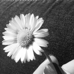 longstoryshortb's profile picture. Beauty product reviews in under 150 words