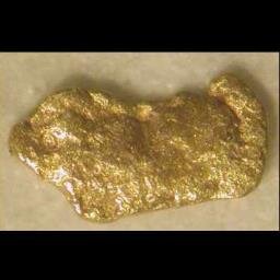 Lambert9410's profile picture. Amateur Geologist; Hog Rider; KD0IRT