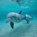 tamara batista - @baptista_tamara - Twitter