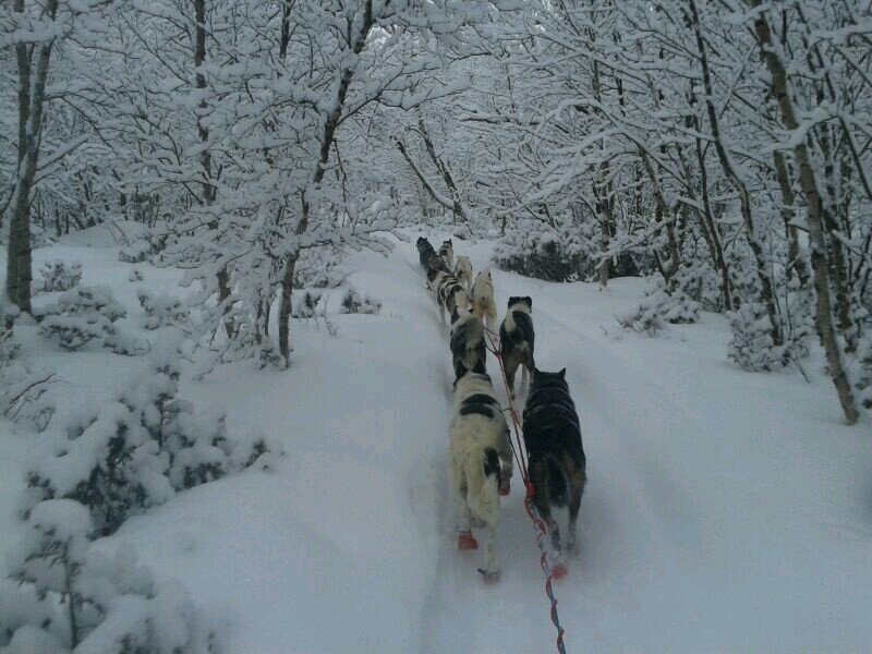 vahomevaaaaa's profile picture. 