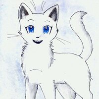 Snow (@snowpelt12) 's Twitter Profile