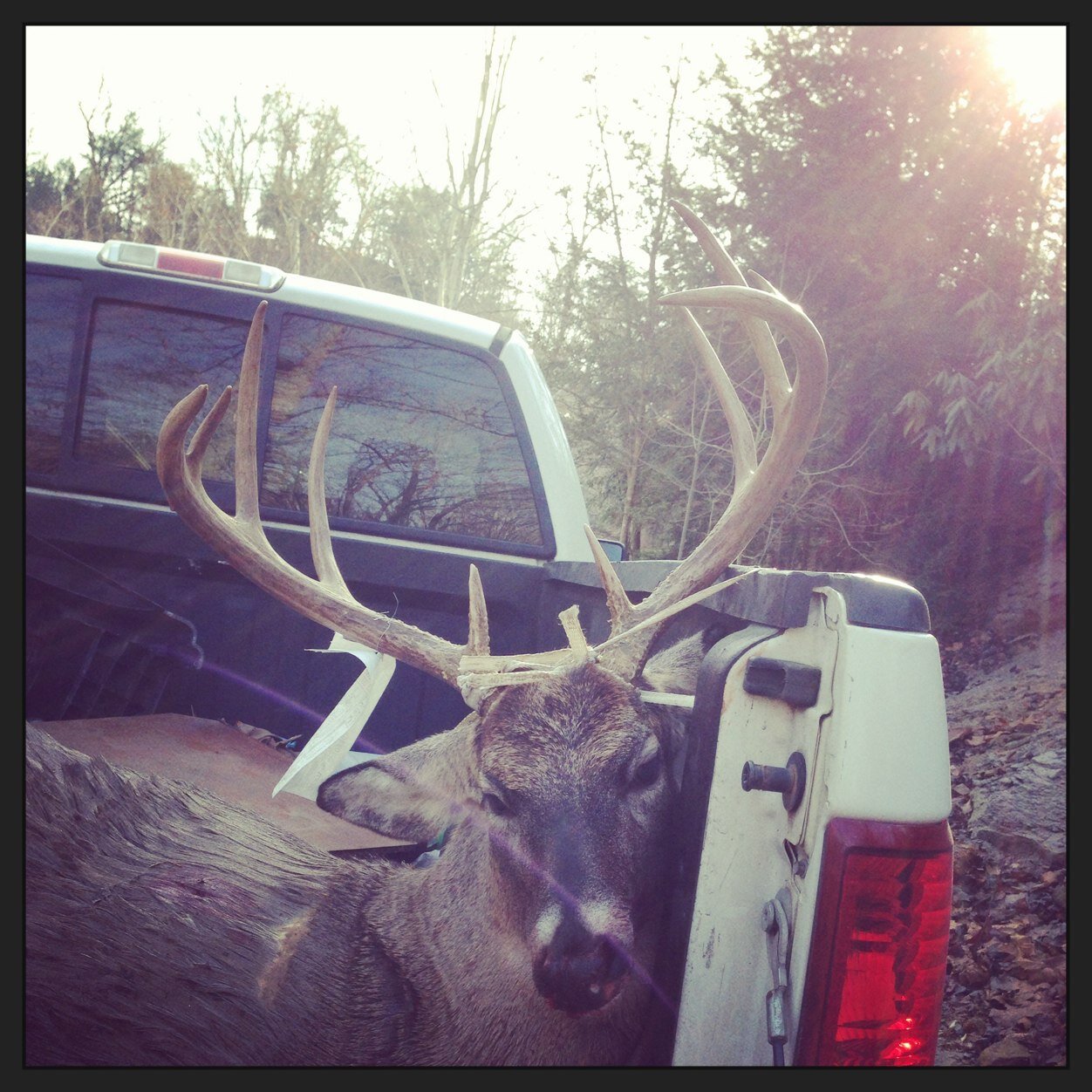 Living Life Day by Day 
West Virginia
