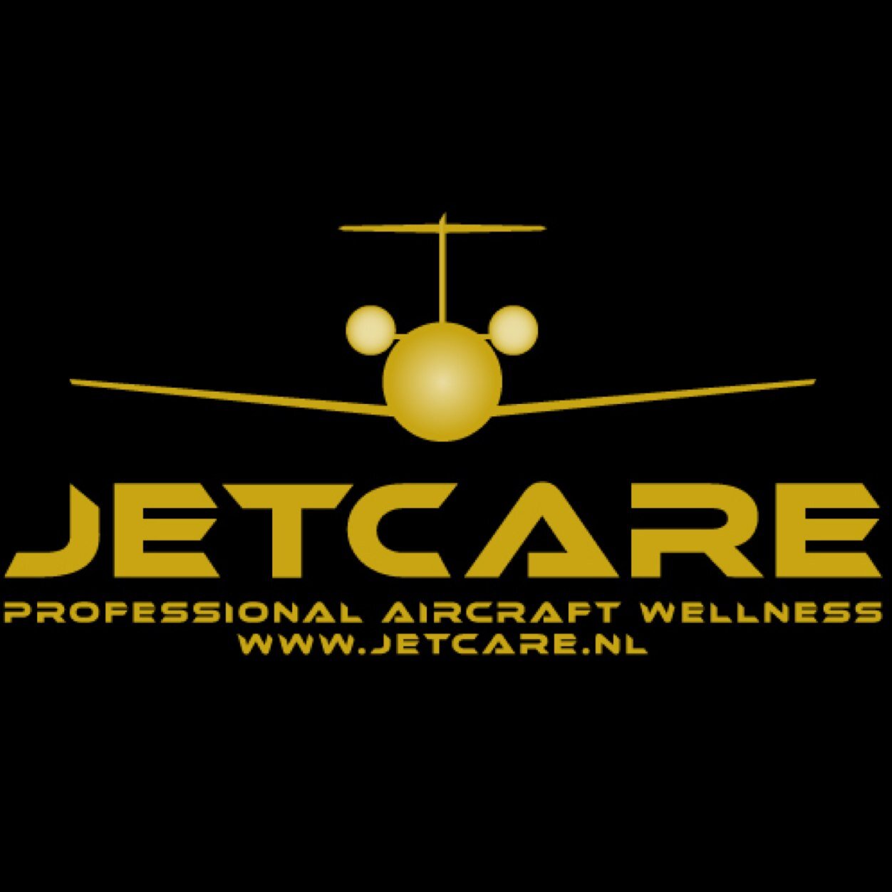 Jetcare - Professional Aircraft Wellness // We love aircraft detailing!