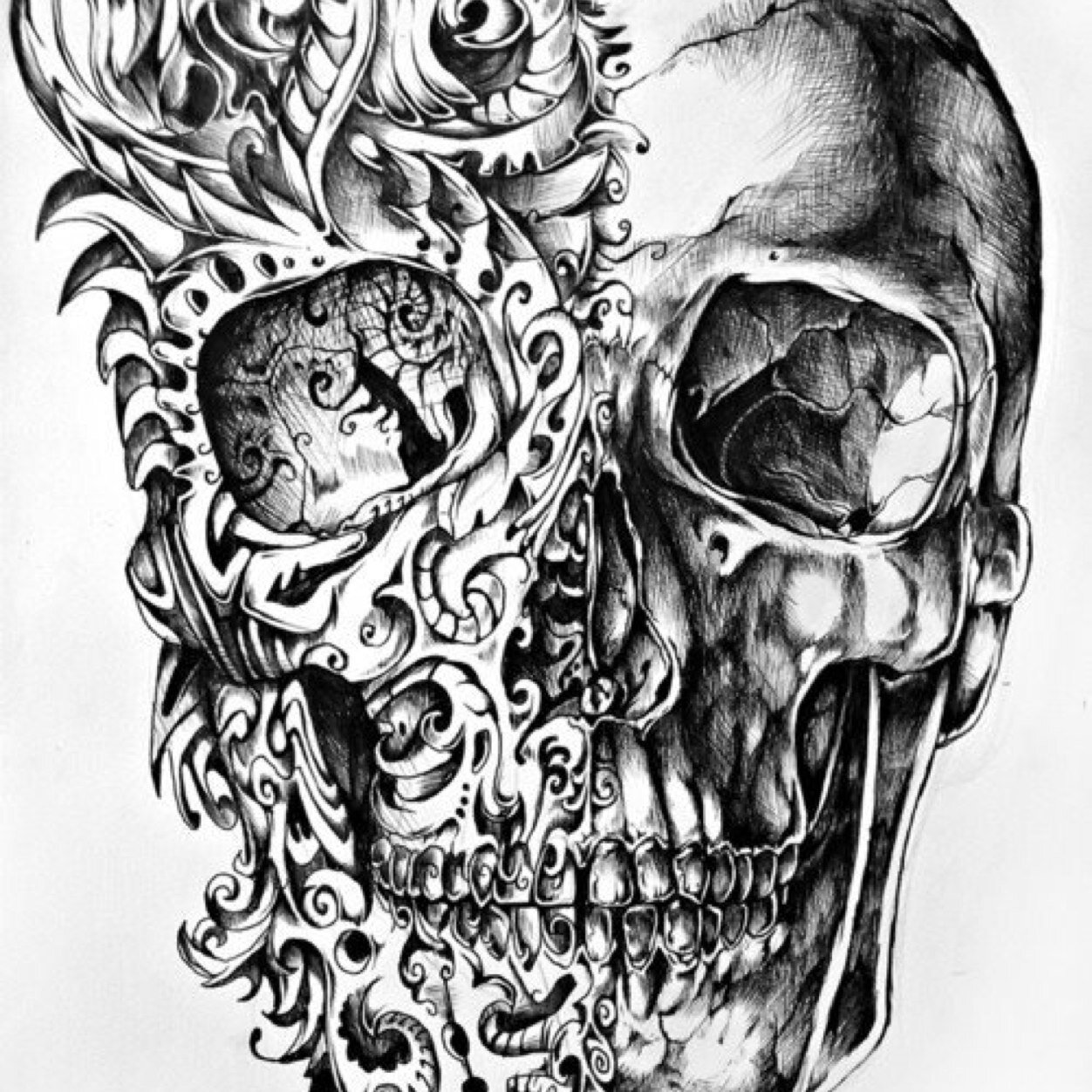 jamesemchamas's profile picture. fiado só amanhã 
satanás paga adiantado