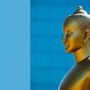 michel trépanier - @eugene53 - Twitter