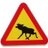 Schimmel_elk