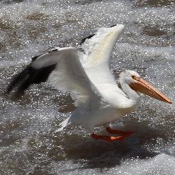 PanosaNana's profile picture. 