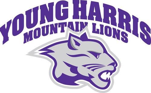 yhc_wsoccer's profile picture. Official Twitter of Young Harris College Women's Soccer team