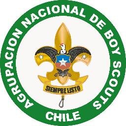 BoyScoutsChile Profile Picture