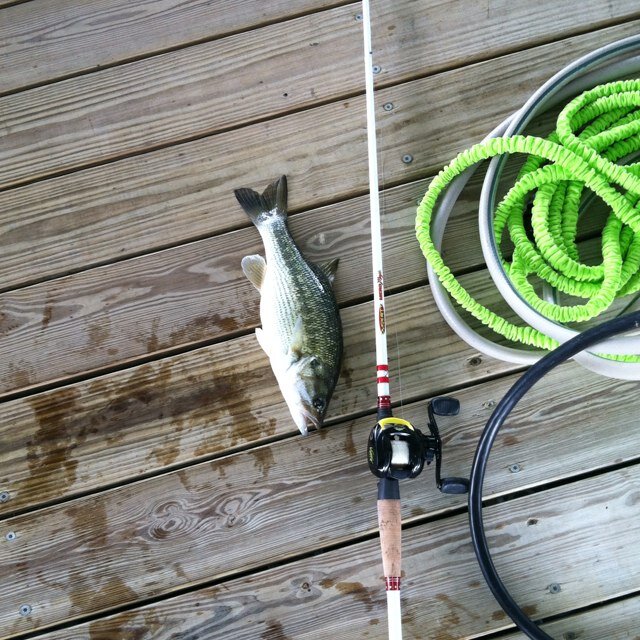 For curret fishing hot spots, gear and much more. This is the twitter page for the real angler. Tight lines