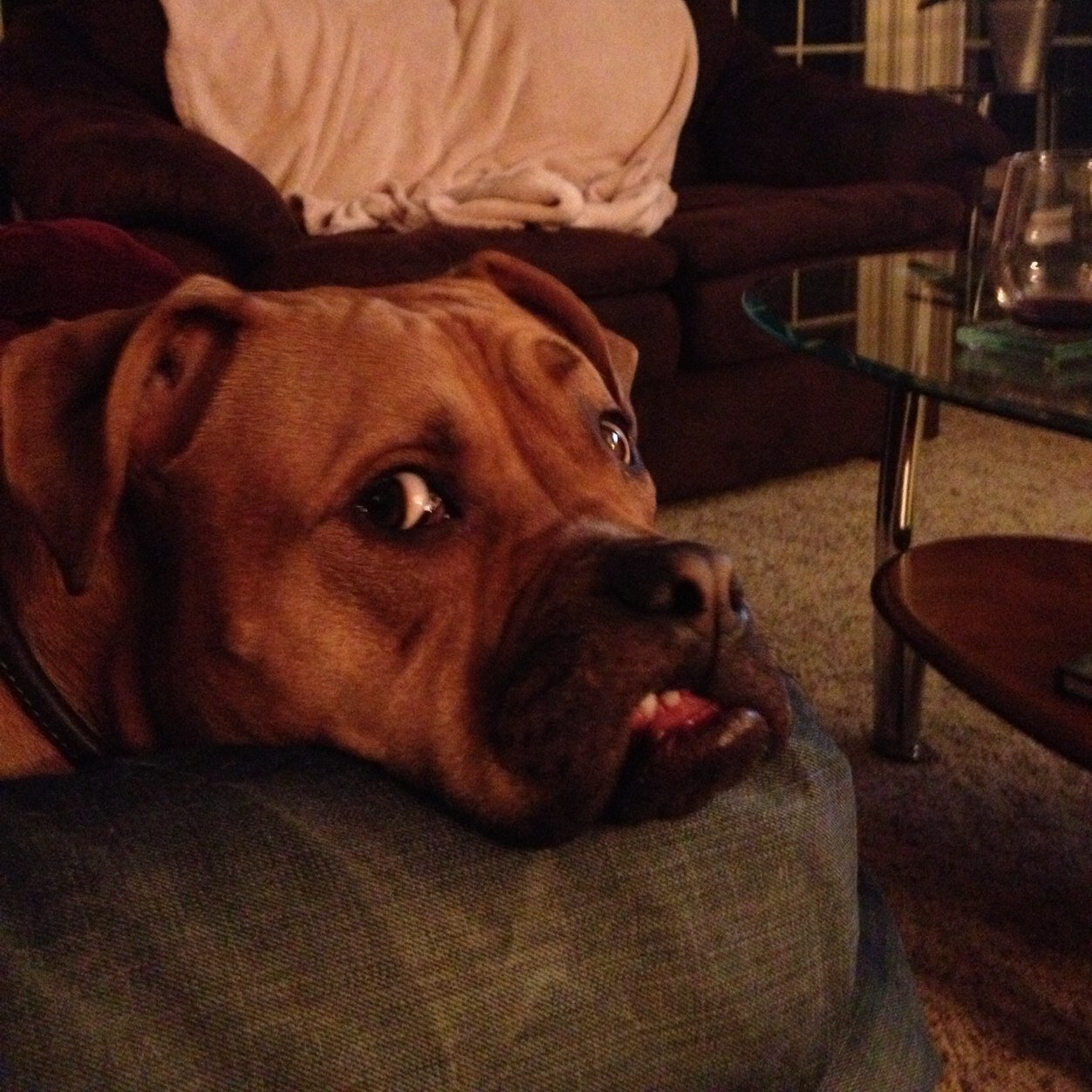 timmayou's profile picture. 