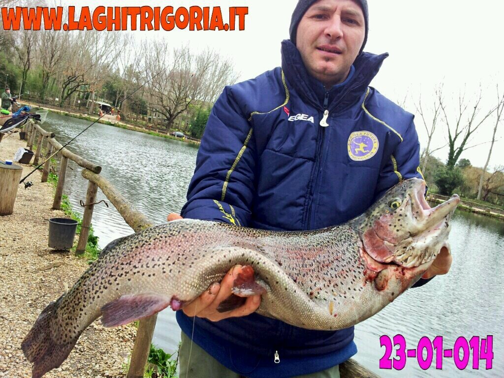 laghitrigoria's profile picture. TROTE GIGANTI