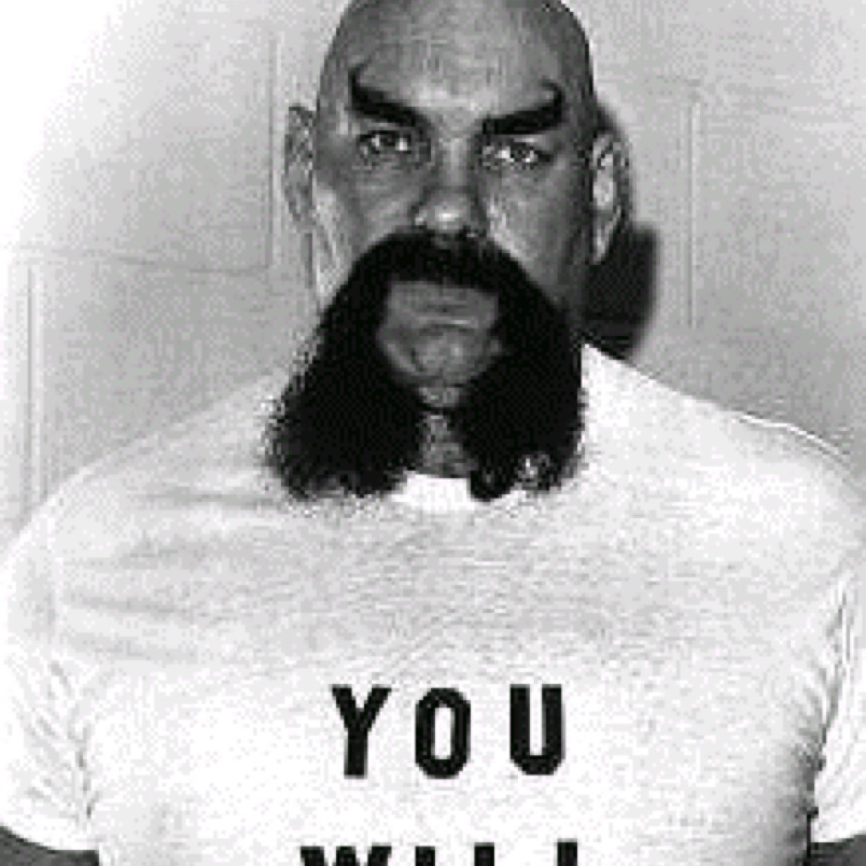 OxBaker_3's profile picture. This is Wrestling Legend Ox Bakers offical Twitter. Also and actor.