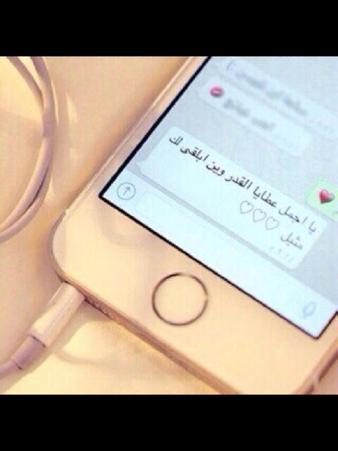 rshoodii_2013's profile picture. 