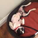 Max Garrison - @CMaxwellG - Twitter