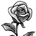 edgar leonel - @edgarcalbucura - Twitter