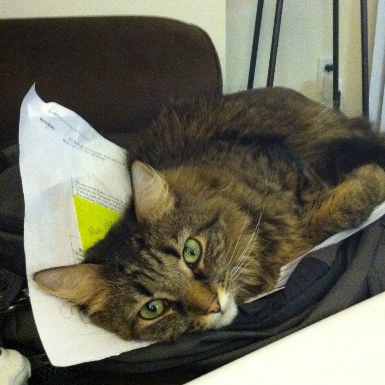 mrsgoodstone's profile picture. 9th grade history teacher at Lexington High School who is an #edtech enthusiast and loves to teach and learn