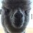 18bhan's profile image