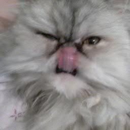 mystical_shooz's profile picture. 