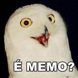 ZOEIRA EM 140 CARACTERES