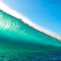 haufuller's profile picture. #wearethepeople