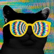 Twitter fake do tsaum @FunkyBlackCat
Amiguinho gay da @ow_luh