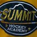 Summit (@summit_hockey) Twitter profile photo