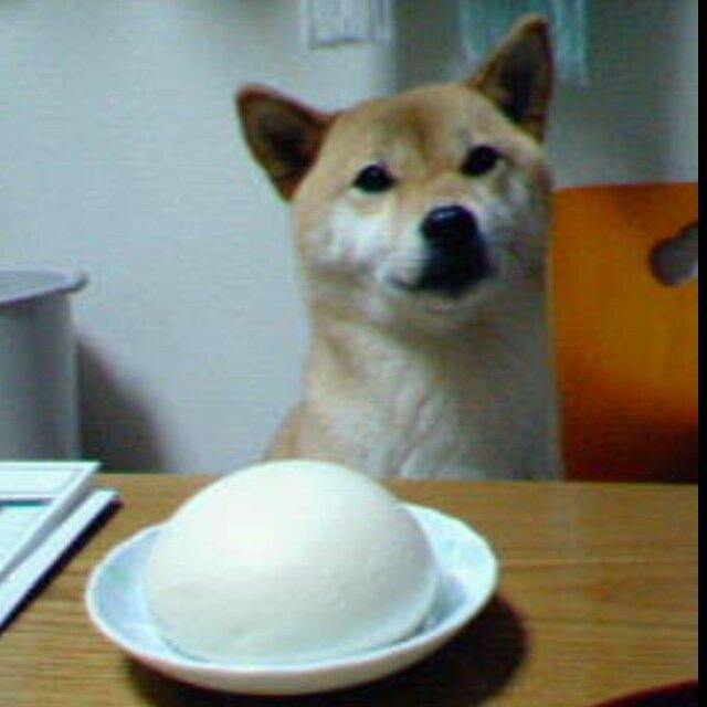 dog_and_anman's profile picture. 楽天銀行からのお知らせ〔入金がありました〕