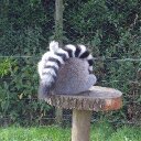 Emma Napper - @Emmanapper83 - Twitter