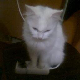 katya_2502's profile picture. Люблю людей