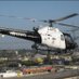 LAPD Air Support (@LAPDairsupport) Twitter profile photo