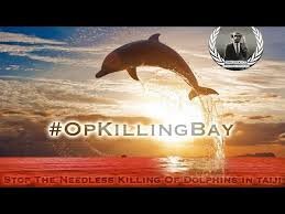 wyatt2962's profile picture. 