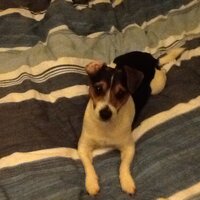 lee (@logsone) 's Twitter Profile