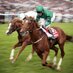 Chester Racecourse (@chestermeetings) Twitter profile photo