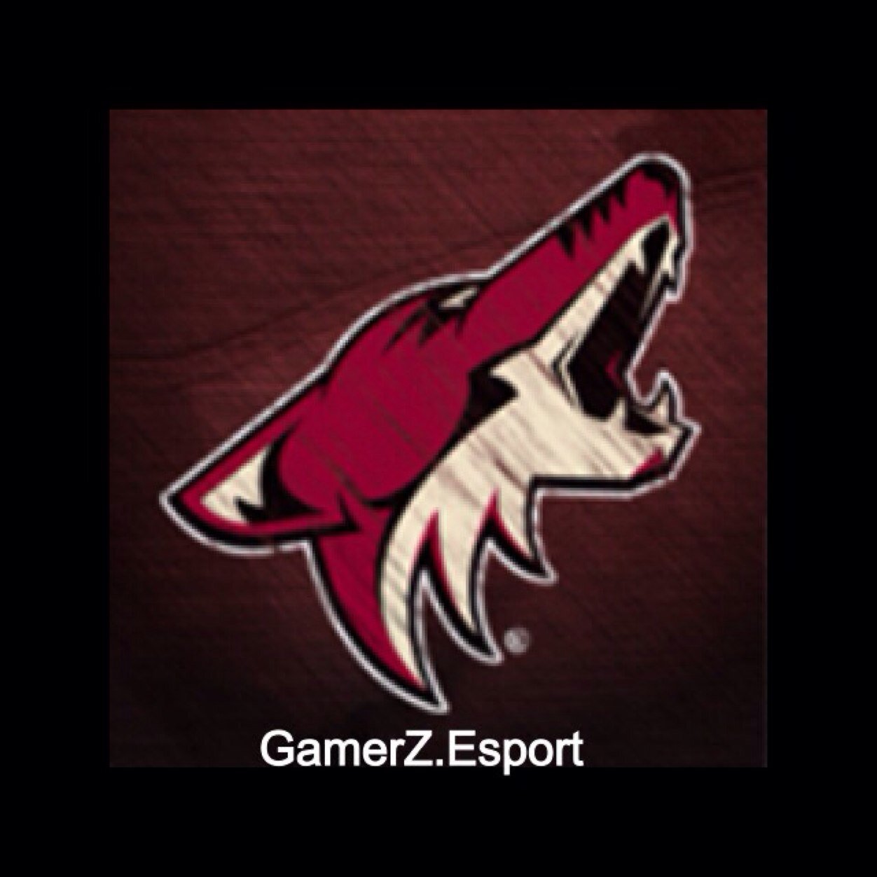 Joueur des BuRsT esport Junior