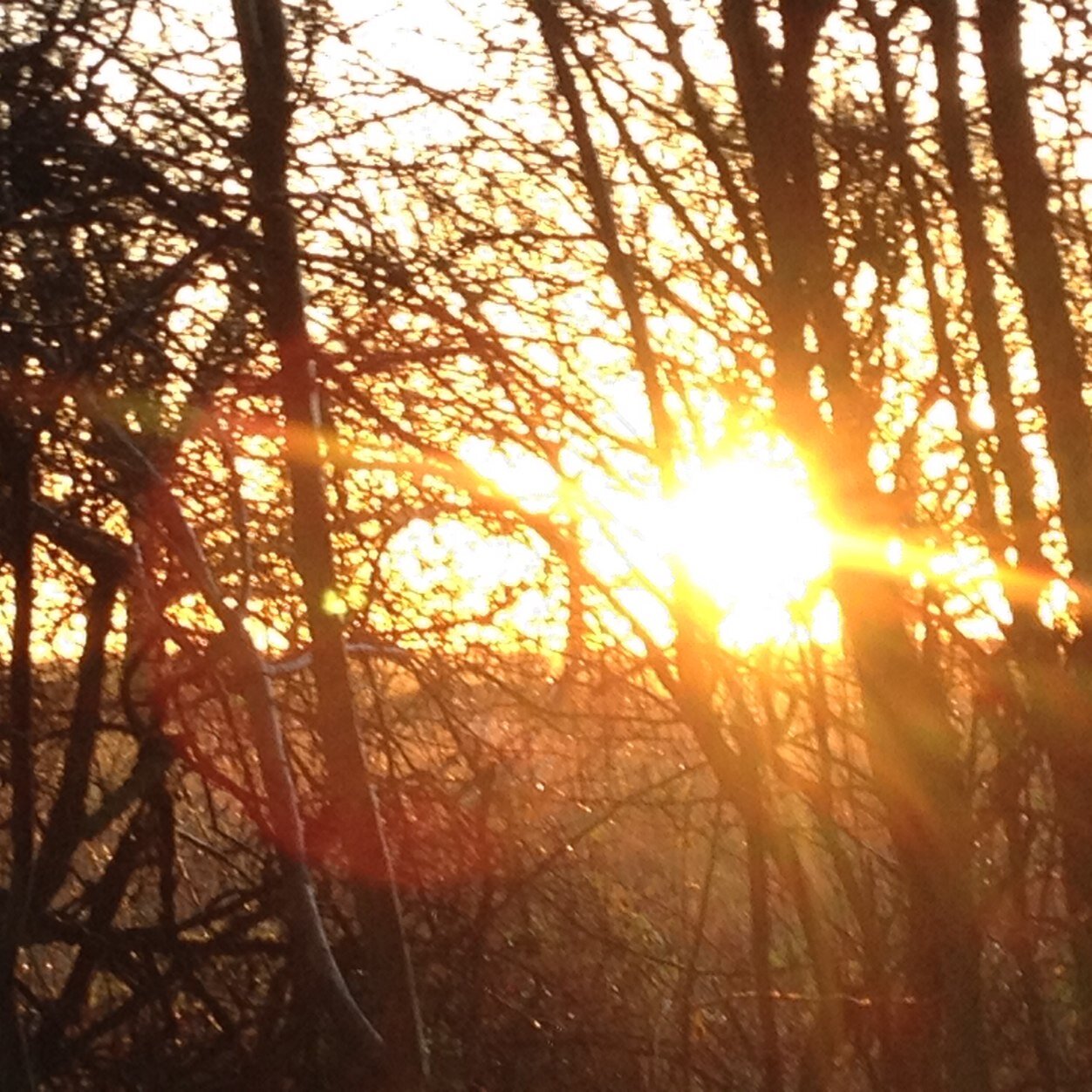 19Hughes's profile picture. 