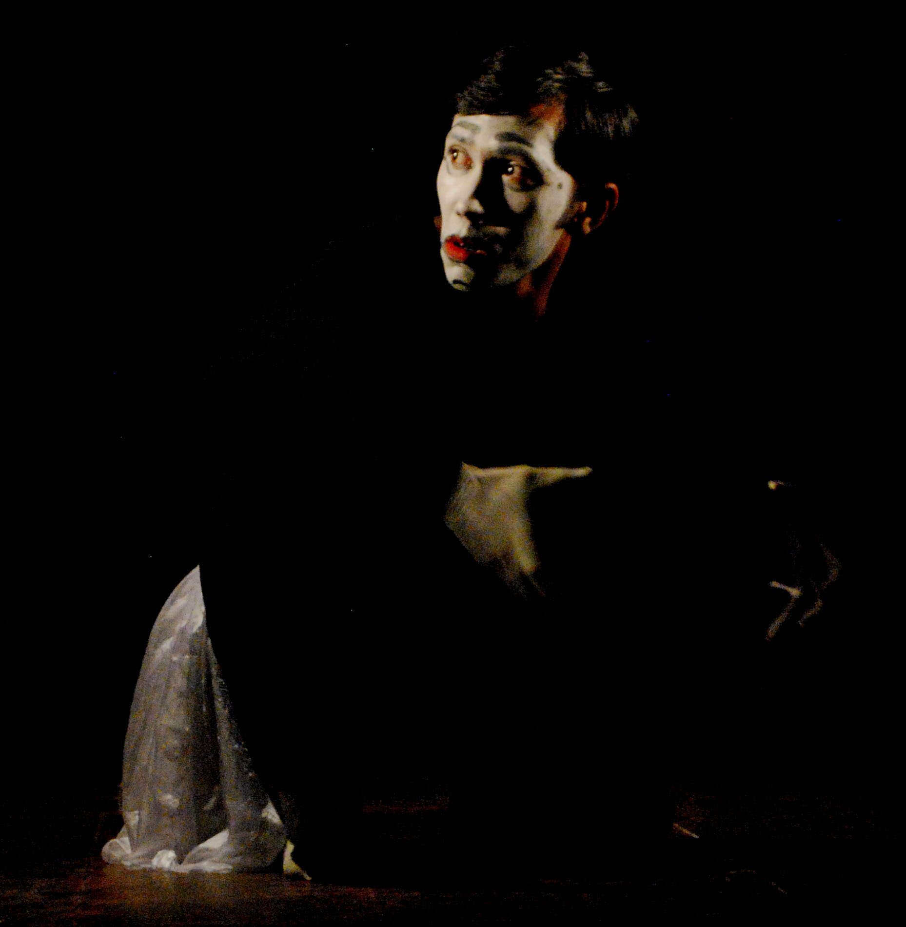 Wildlife, landscape, documentary, fine art Photographer; Cinematographer; Mime & theater artist; Traveller