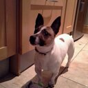 Betsy Murphy - @betsyannmurphy - Twitter