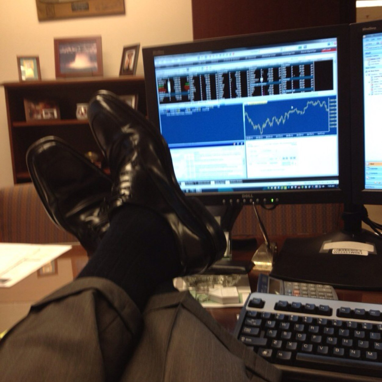 73tamu's profile picture. 