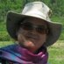 Diane Labarre (@dianelabarre) Twitter profile photo