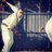 Clack_113's profile image