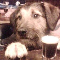 Independent, friendly Leith pub, with an exceptional selection of imported German beers. Dog-friendly. Humans too.