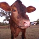 rose beasley - @RoseBeasley29 - Twitter