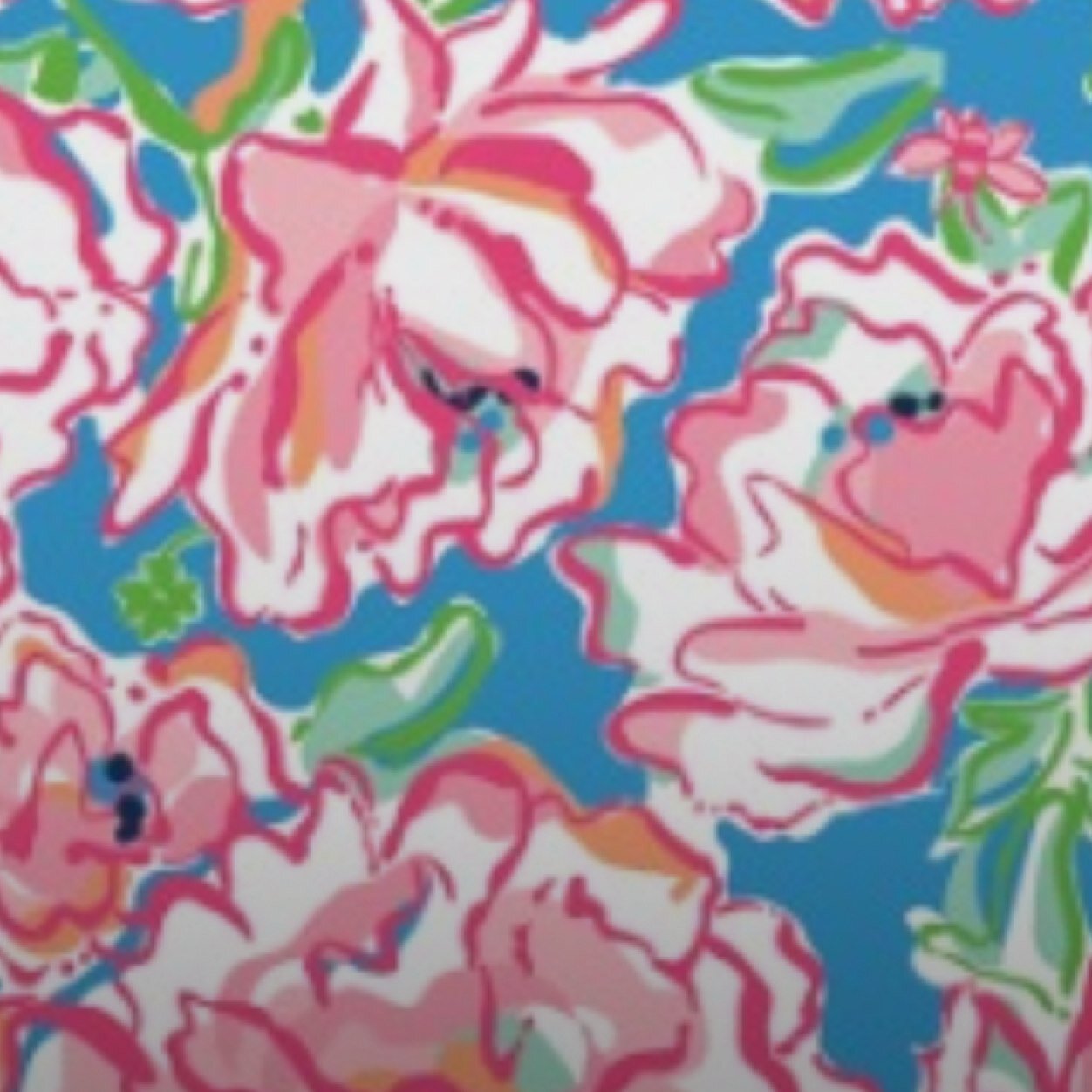Ga peach. Lover of southern boys and sweet tea. Republican. Lifes a party, dress like it. -Lilly P.