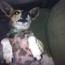 James Labor - @james_labor - Twitter