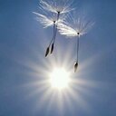 Jenn Dillon - @DillonJenn - Twitter